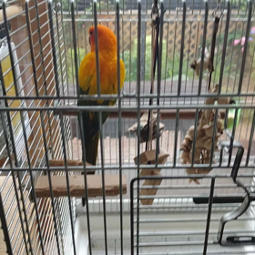 仕事にいくときの画像