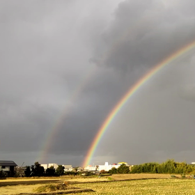 虹です。の画像