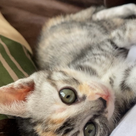 5月14日(6日目) 今日は朝からご機嫌さん♪の画像