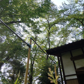 逆上がり、倒立、ダンベルの画像