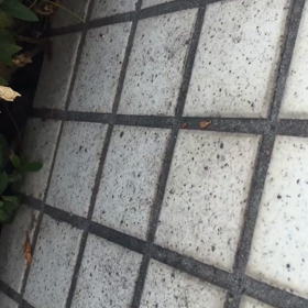 「Oh my God」言っちゃダメな時、異文化のレッスンの画像