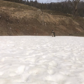 蓮道　真道　生道　お誕生日の画像