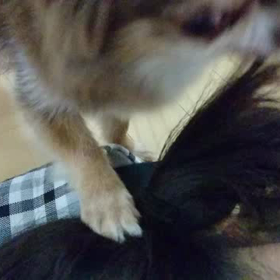 相変わらずです。の画像