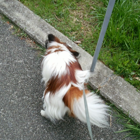 公園動画の画像