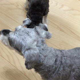 元気よね…の画像