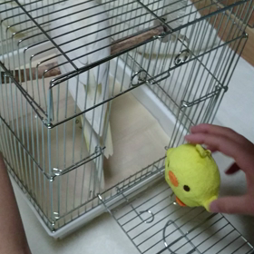 「またブログですか❓」の巻の画像