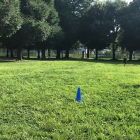 1000m ２組目⑦の画像