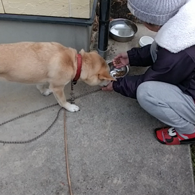 朝ごはんの画像