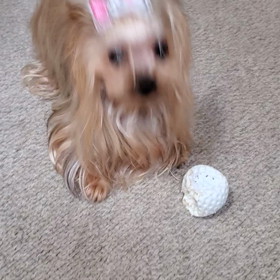 早起き！の画像