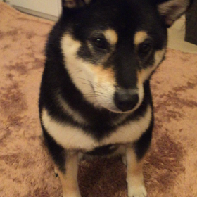 バーーンの画像