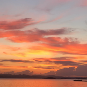 もぎたての‥の画像