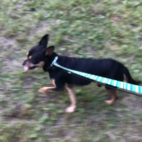 ♪お散歩動画♪代々木公園♪の画像