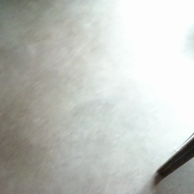 チワワ狩りじゃー‼の画像