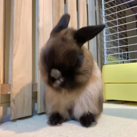 届いてないね(*´艸`)の画像