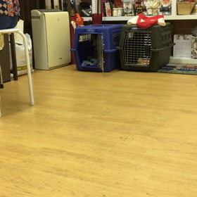 あ〜可愛い❤️の画像