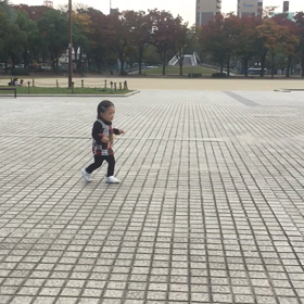 止まらないha-haの画像