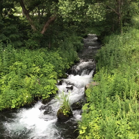 毎日猛暑⁉︎の画像