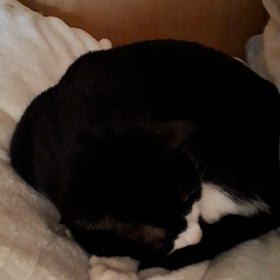 連勤初日終了の画像