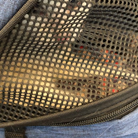 お疲さまの画像