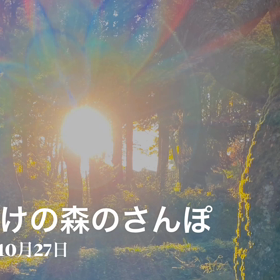楽しいんだもん　　夜明けの森のさんぽ　の画像