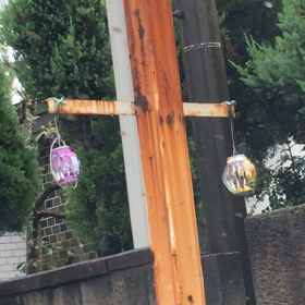 ふと目に入ったもの…の画像