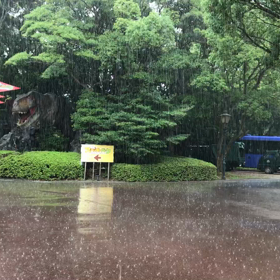 7/3 突然のスコールとセミの声の画像