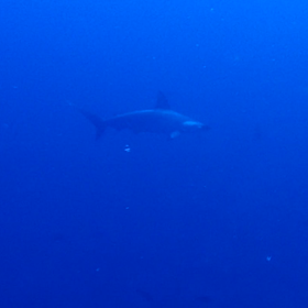 昨日の夕方の画像