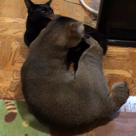 ちょっと強め？の画像