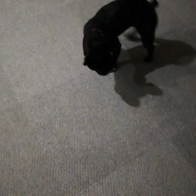 寝る前の運動の画像