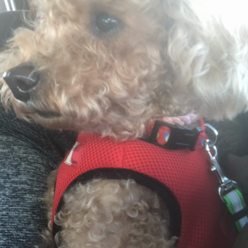 甘ったれ心温！！の画像