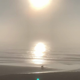 7月17日千葉北、東浪見の朝の波の画像