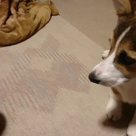 知育玩具の画像