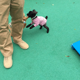 どこにいこうかなぁルンルンの画像