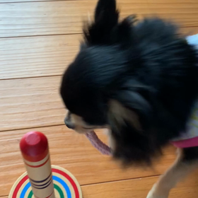 シェリ宿題の画像