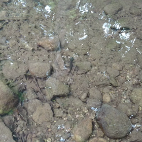日曜日は 〜中編〜の画像