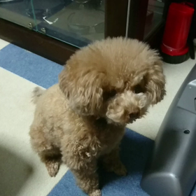 あっち向いてこっち向いての画像