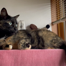 ジャズピアノ最初の先生の画像