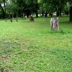 7月5日 400インターバル中間点①の画像