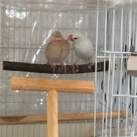 杏ちゃん、謎の行動の画像