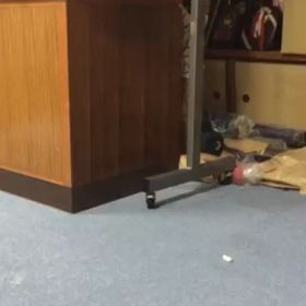 ナイス キャッチ !！の画像