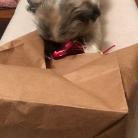 Alive がん専門医のカルテ　第3話の画像