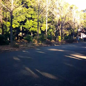 越谷春季記録会リレー選考会(男子)④の画像