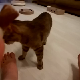 ジム通い（7週目）の画像