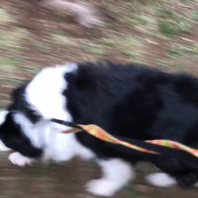 ♪60分遠足♪代々木公園♪の画像