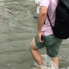 昨日の豪雨。の画像