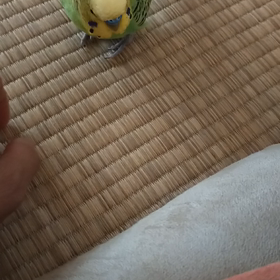 もうすぐの画像