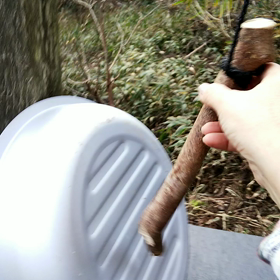 ご飯ですよーの画像