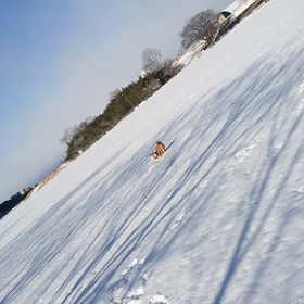 時差ボケの画像