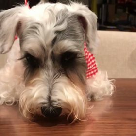 いかん・・^_^;の画像