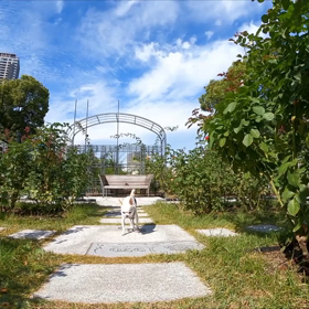 中之島バラ園 #中之島公園チワワの画像